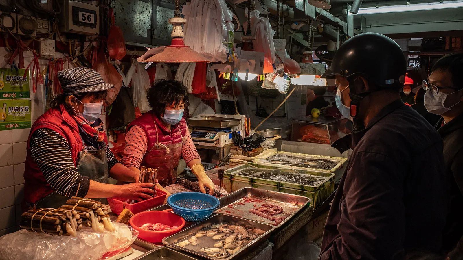 Wet markets, like this one in Macau, are found throughout Asia and sell fresh vegetables, fruit, seafood, and meat. Although most wet markets don’t sell wildlife, the terms “wet market” and “wildlife market” are often conflated. PHOTOGRAPH BY ANTHONY KWAN, GETTY